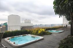 The Scotts Tower (D9), Condominium #473343401